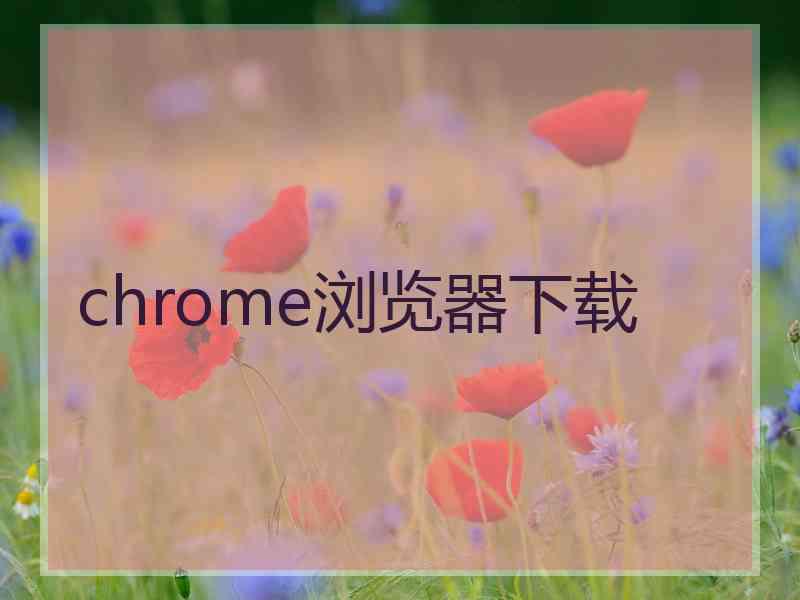 chrome浏览器下载