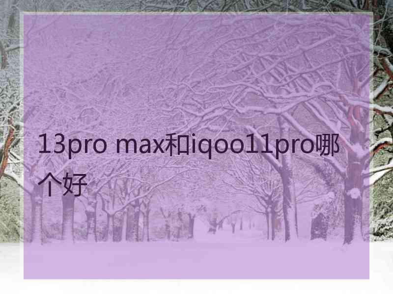 13pro max和iqoo11pro哪个好