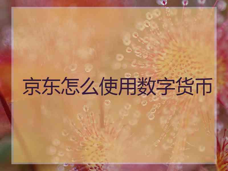 京东怎么使用数字货币