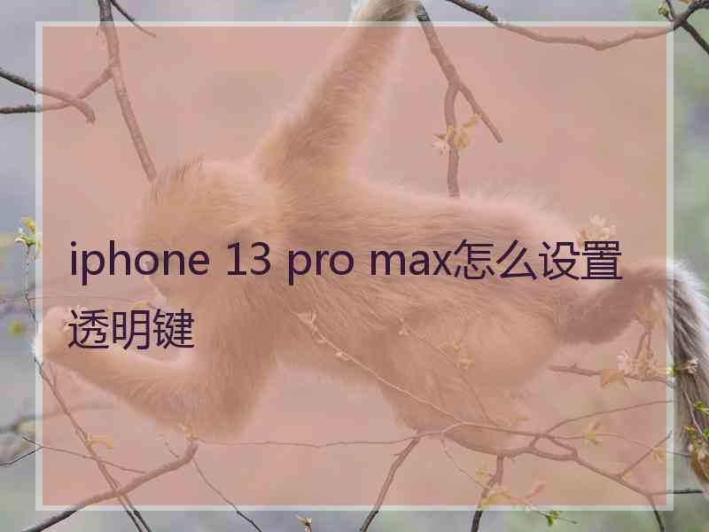 iphone 13 pro max怎么设置透明键