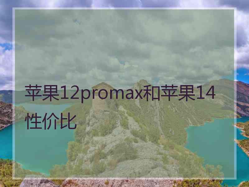 苹果12promax和苹果14性价比