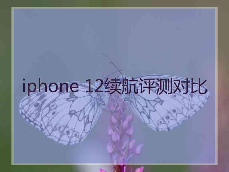 iphone 12续航评测对比