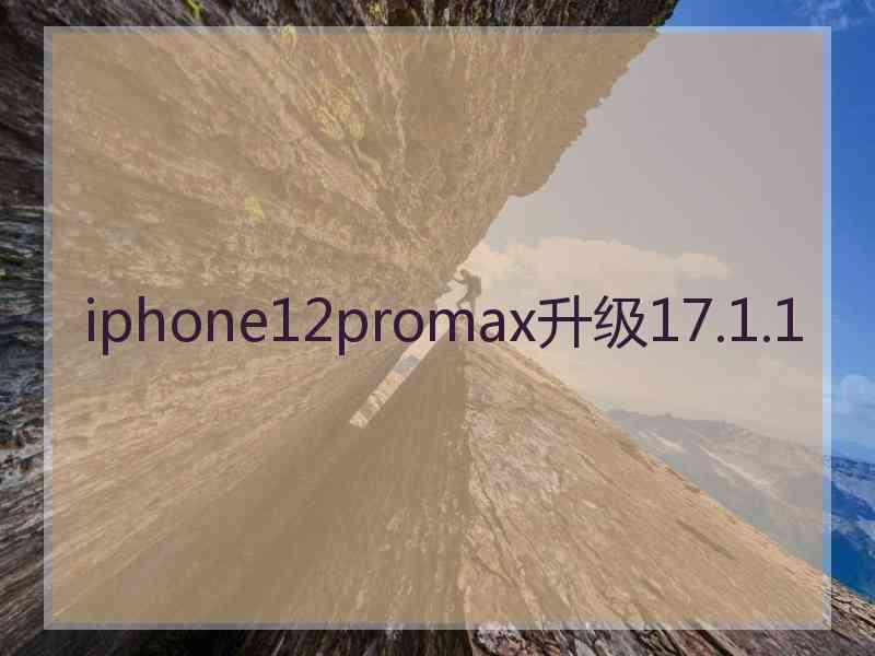 iphone12promax升级17.1.1