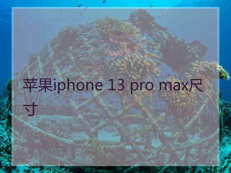 苹果iphone 13 pro max尺寸