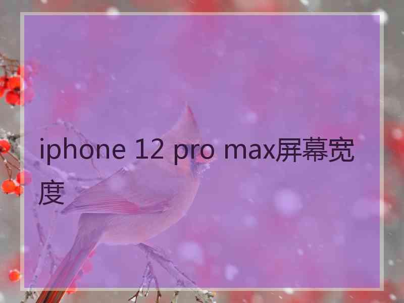 iphone 12 pro max屏幕宽度