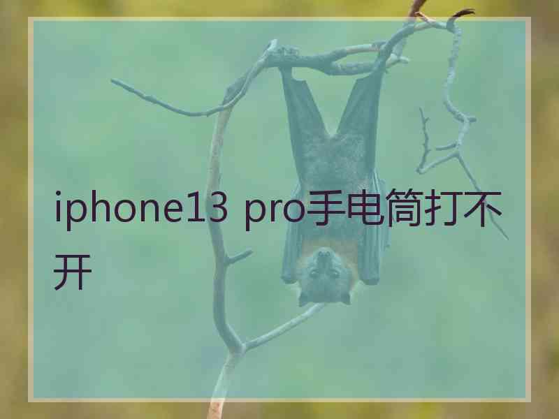 iphone13 pro手电筒打不开