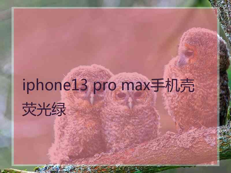 iphone13 pro max手机壳荧光绿