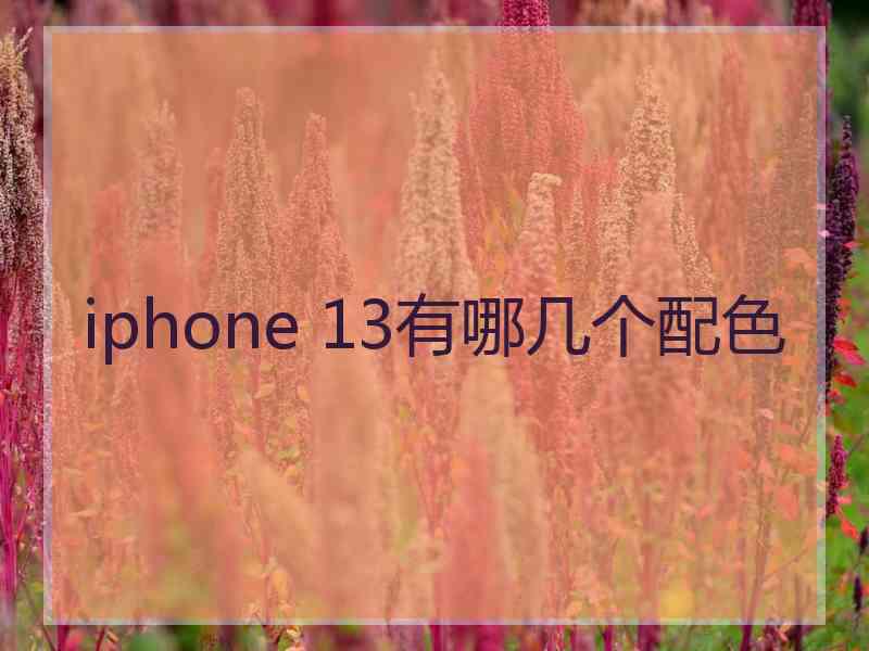 iphone 13有哪几个配色