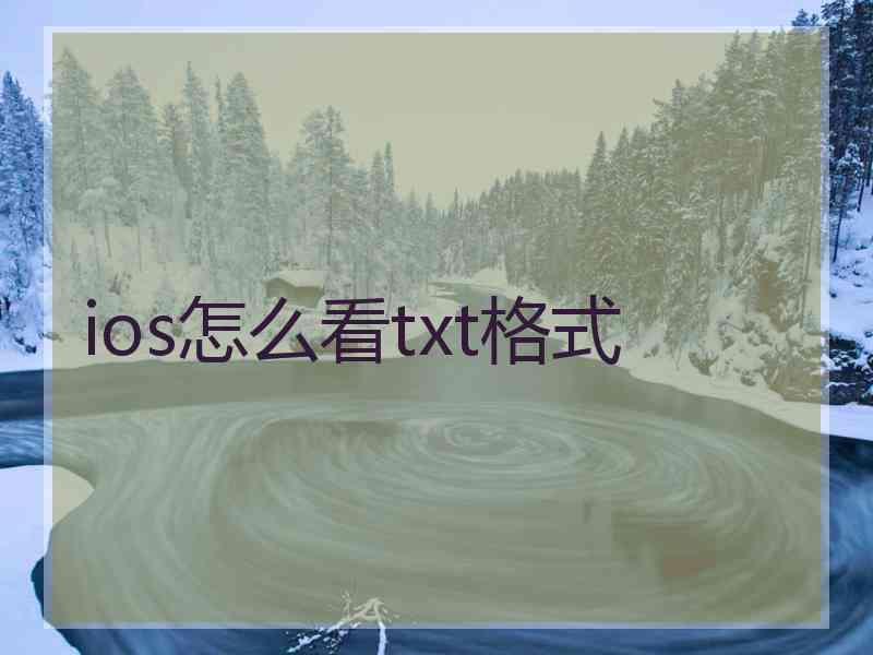 ios怎么看txt格式