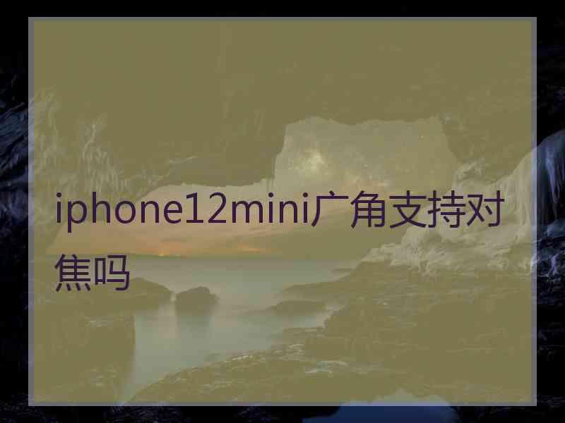 iphone12mini广角支持对焦吗