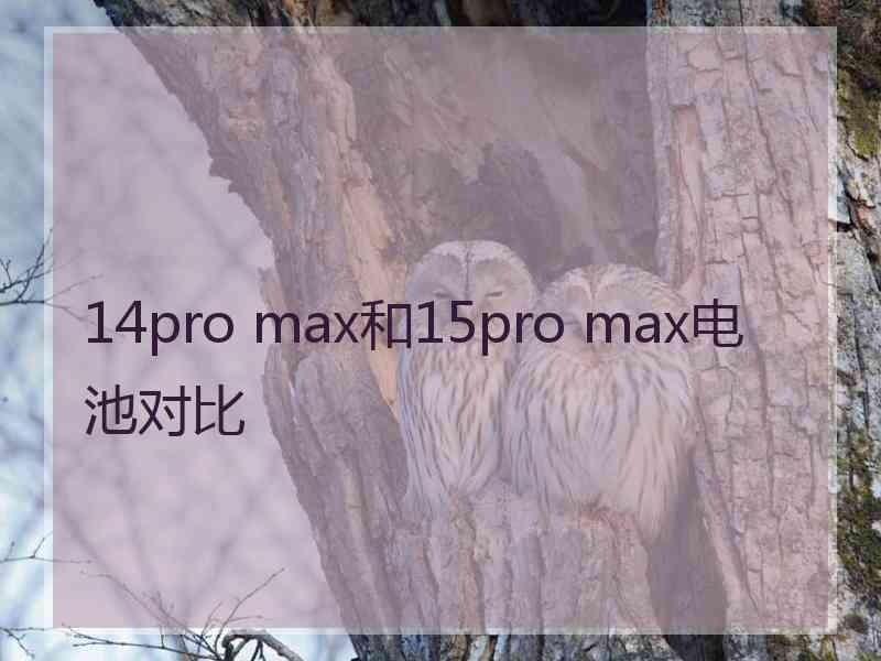 14pro max和15pro max电池对比