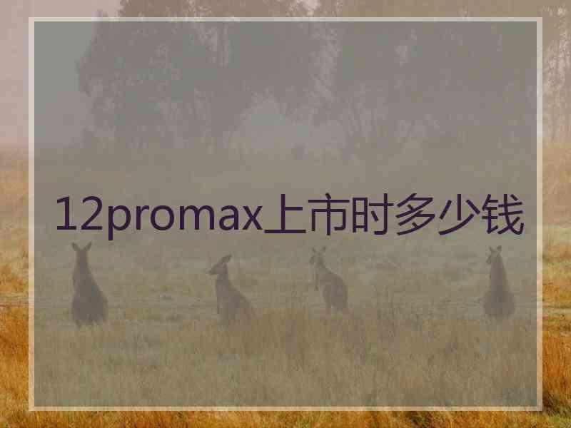 12promax上市时多少钱