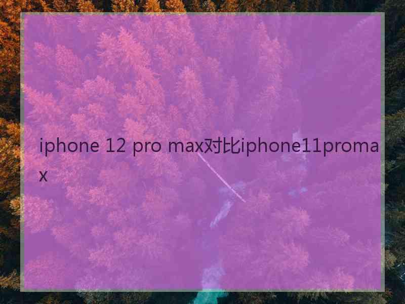 iphone 12 pro max对比iphone11promax