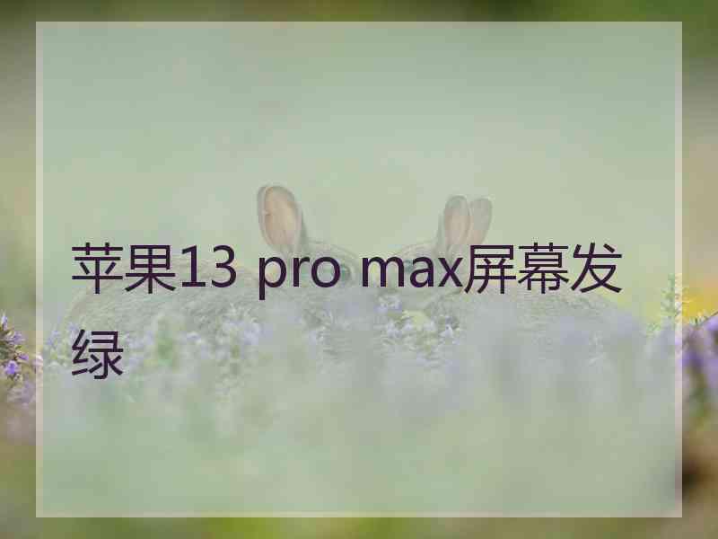 苹果13 pro max屏幕发绿