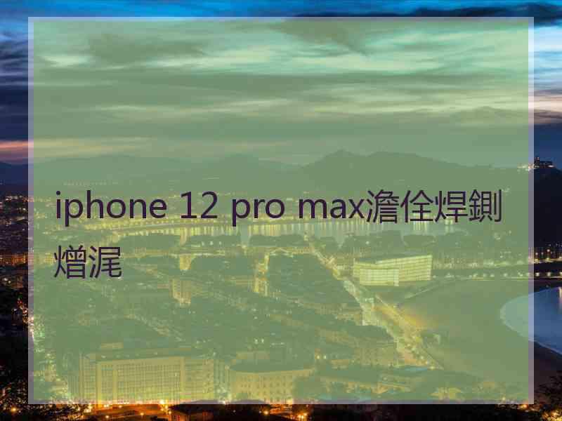 iphone 12 pro max澹佺焊鍘熷浘