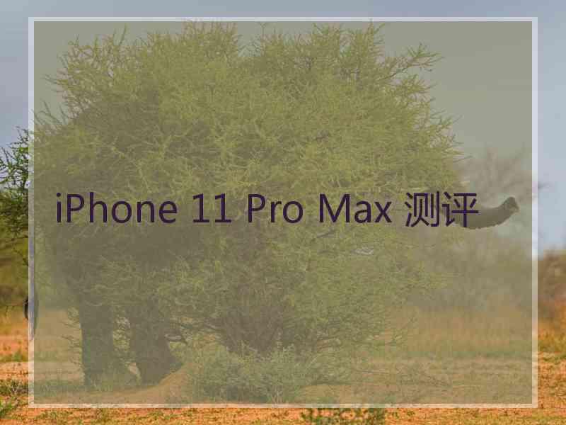 iPhone 11 Pro Max 测评