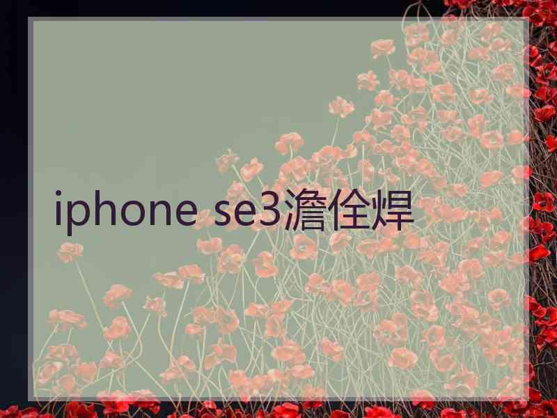 iphone se3澹佺焊