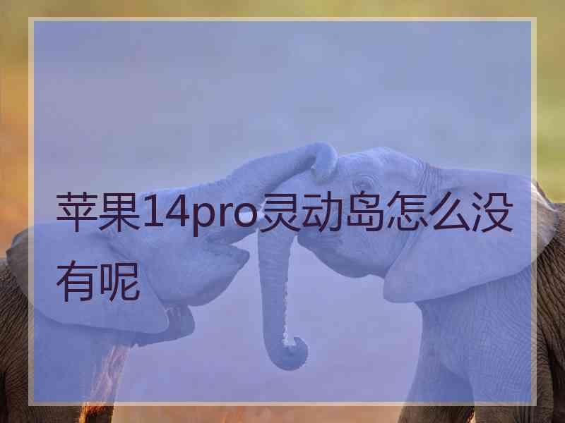 苹果14pro灵动岛怎么没有呢