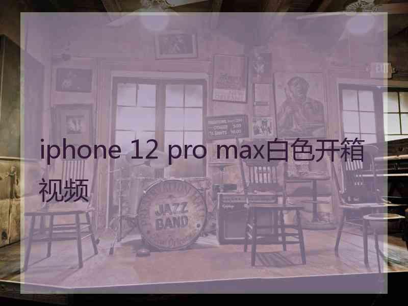 iphone 12 pro max白色开箱视频