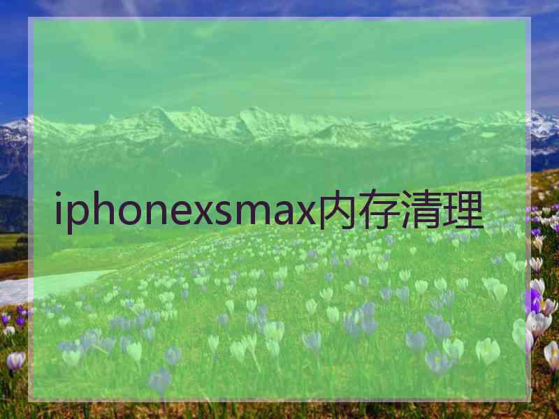 iphonexsmax内存清理