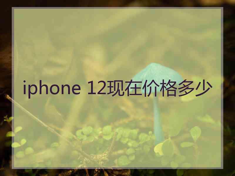 iphone 12现在价格多少