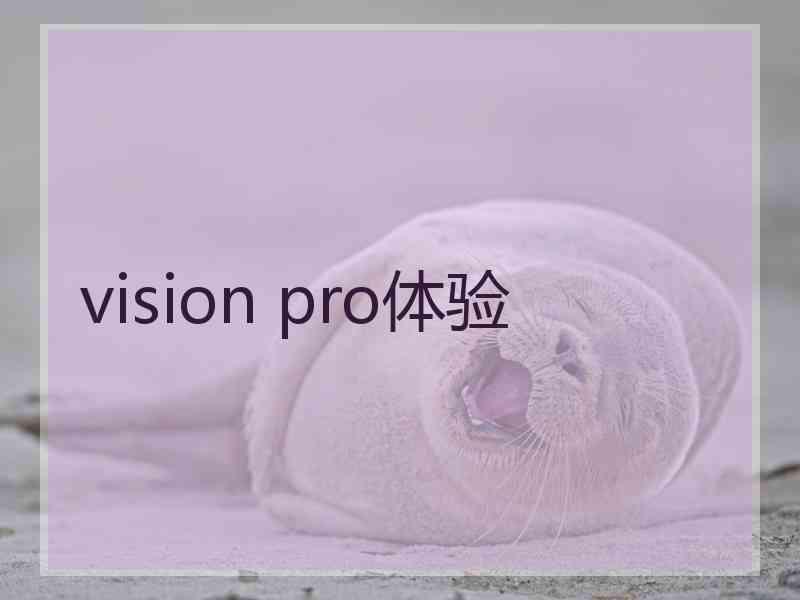 vision pro体验