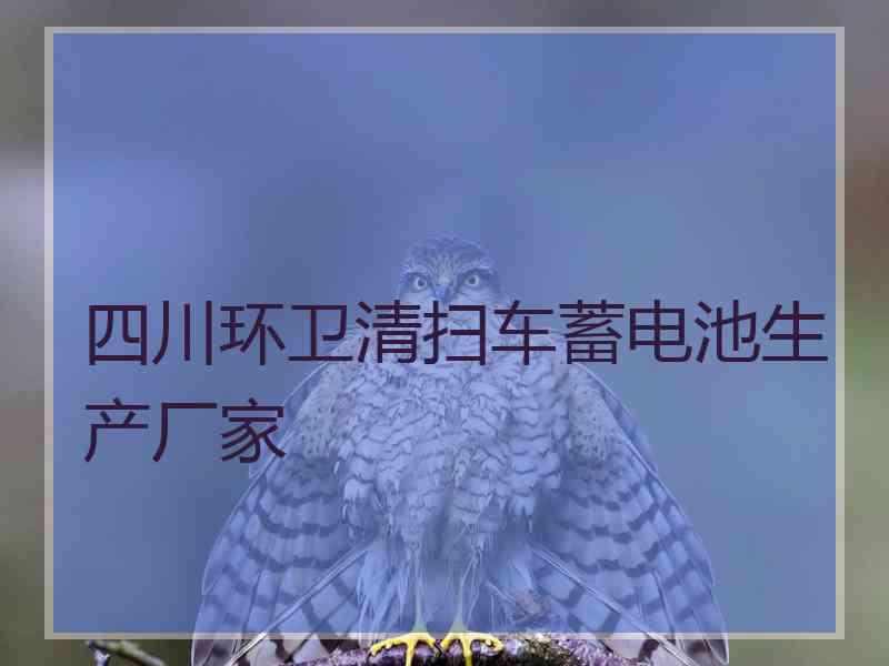 四川环卫清扫车蓄电池生产厂家