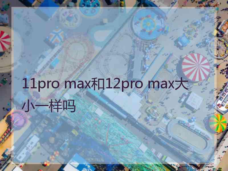 11pro max和12pro max大小一样吗