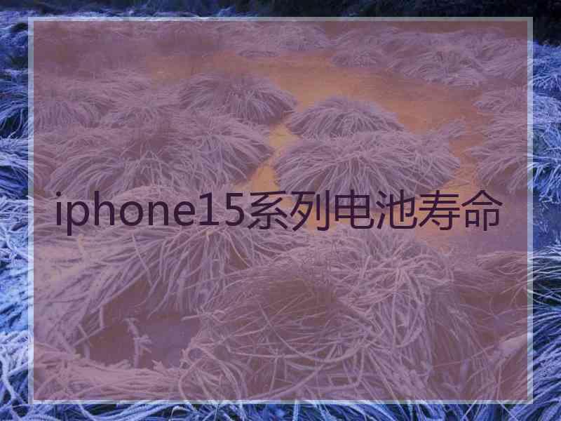 iphone15系列电池寿命