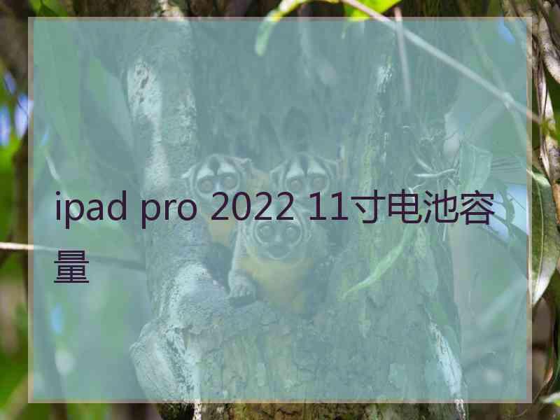 ipad pro 2022 11寸电池容量