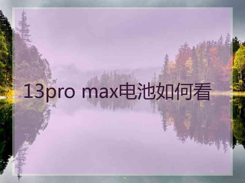 13pro max电池如何看