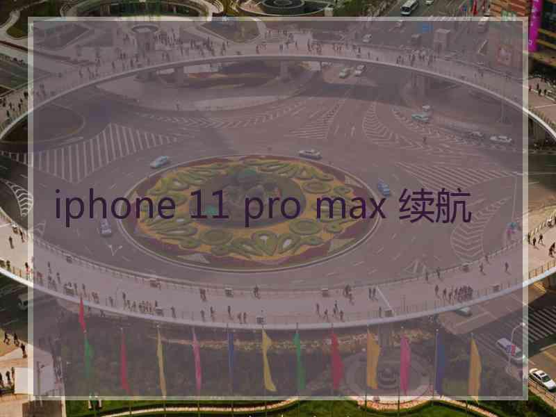 iphone 11 pro max 续航