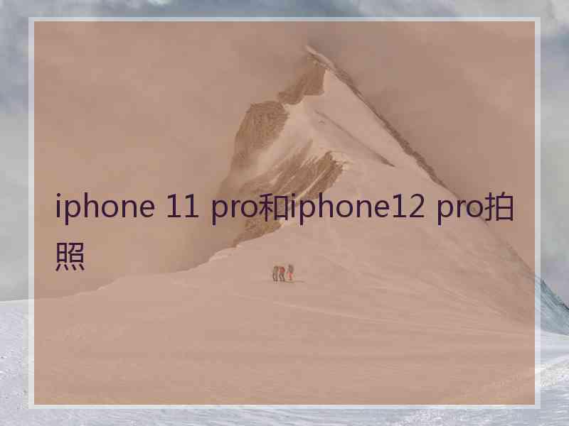 iphone 11 pro和iphone12 pro拍照