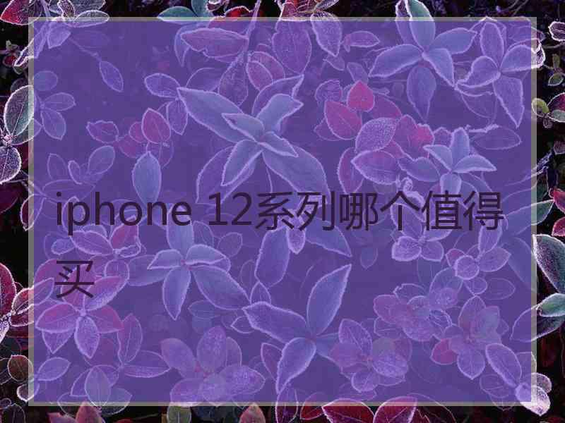 iphone 12系列哪个值得买