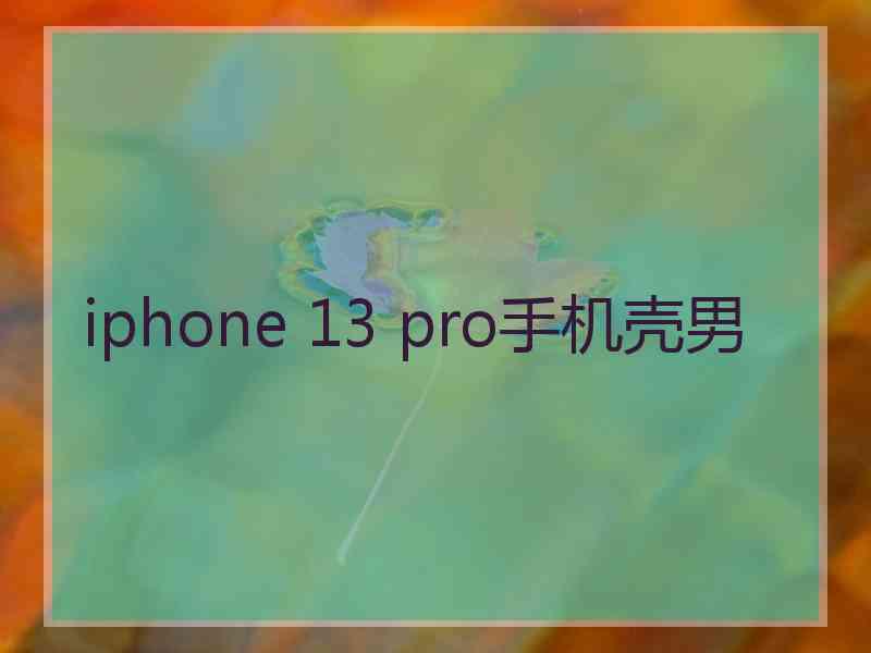 iphone 13 pro手机壳男