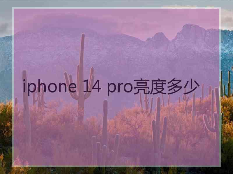 iphone 14 pro亮度多少