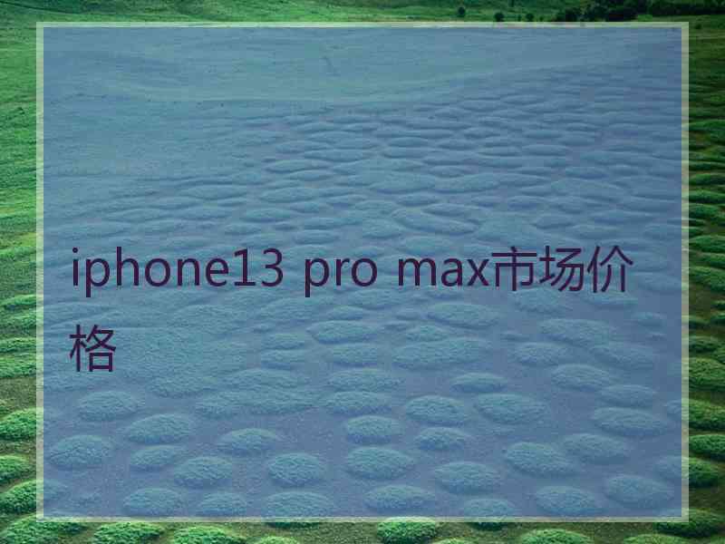 iphone13 pro max市场价格