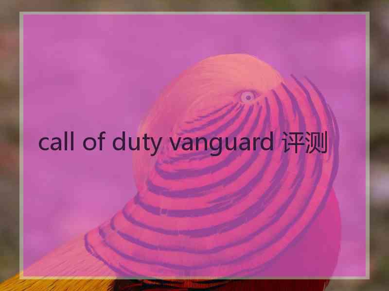 call of duty vanguard 评测