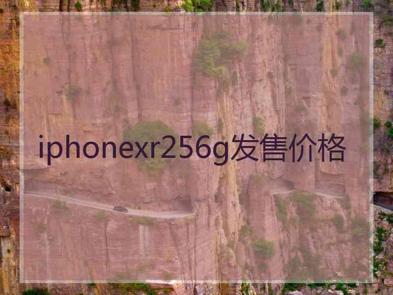 iphonexr256g发售价格