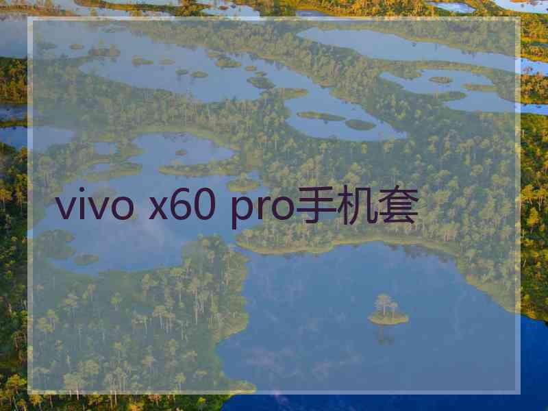 vivo x60 pro手机套