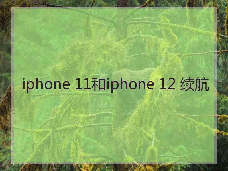 iphone 11和iphone 12 续航