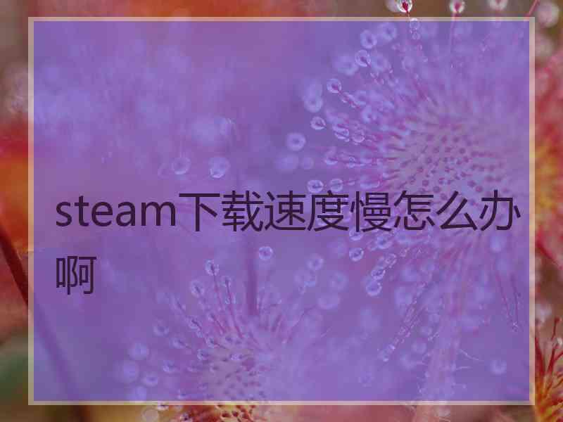 steam下载速度慢怎么办啊