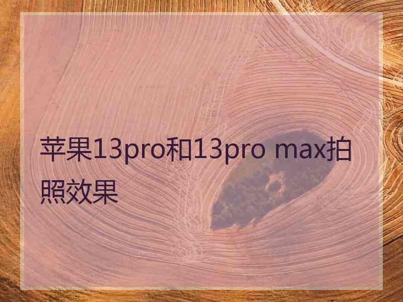 苹果13pro和13pro max拍照效果