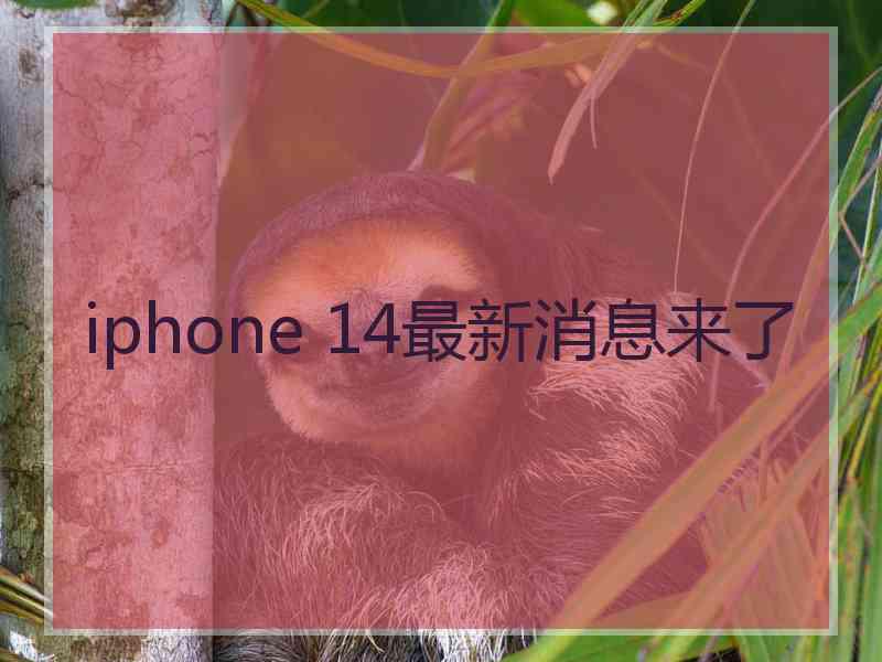 iphone 14最新消息来了