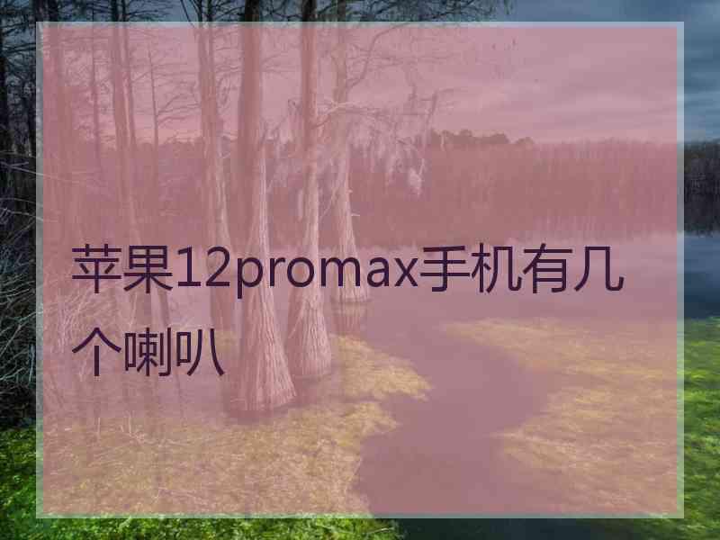 苹果12promax手机有几个喇叭