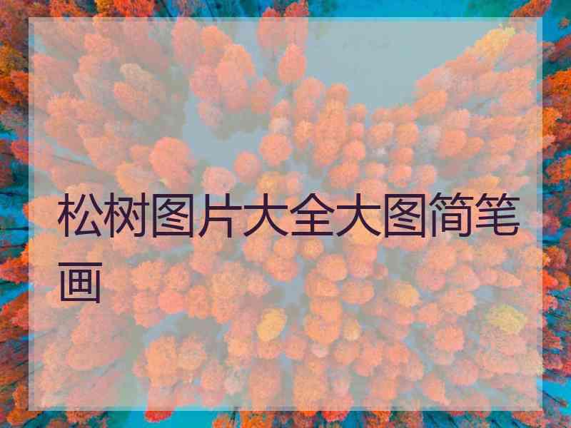 松树图片大全大图简笔画