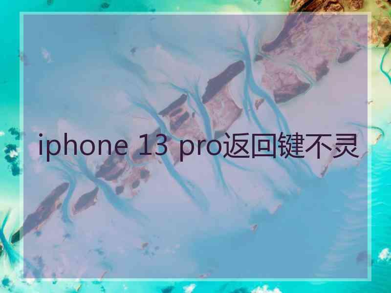 iphone 13 pro返回键不灵