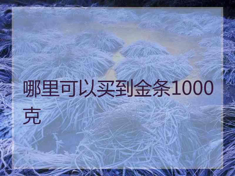 哪里可以买到金条1000克