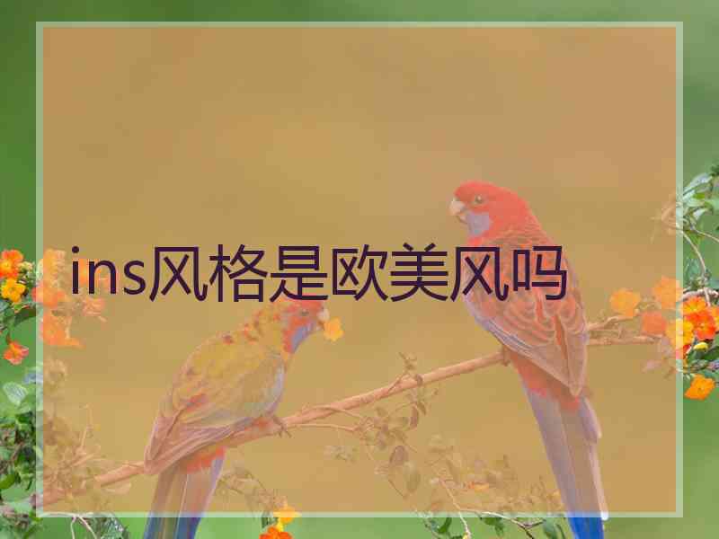 ins风格是欧美风吗