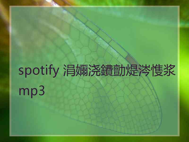 spotify 涓嬭浇鐨勯煶涔愯浆mp3